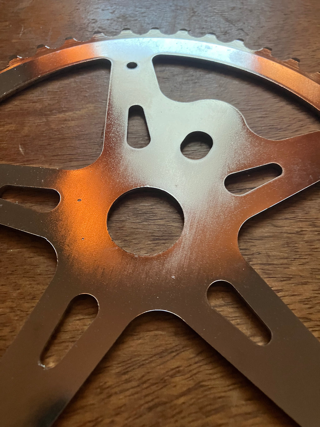 48T Single Bolt Chainring ( maybe sun tour ?)