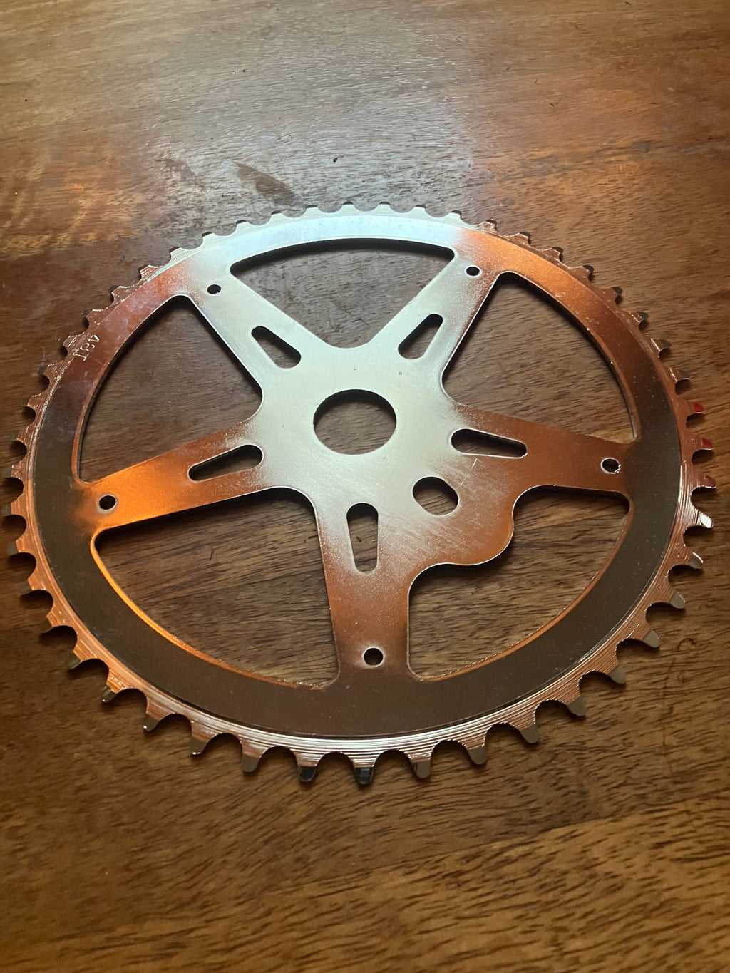 48T Single Bolt Chainring ( maybe sun tour ?)